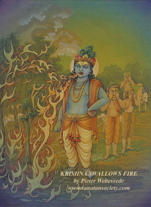 Krishna Swallows the Fire -This image is protected by digital watermarking - Click here for our free wallpapers.