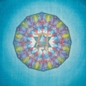 PWCHS401