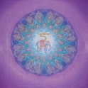PWCHS501