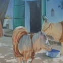 PWPSCO02